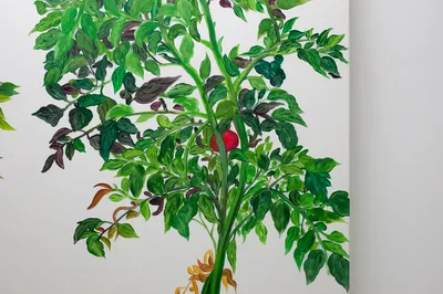 20150226 Alex Fischer Vii 陈山 Chen Shan detail 01.jpg